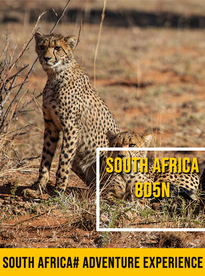 EXPLORING SOUTH AFRICA  8D5N